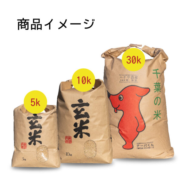 令和6年産 多古米コシヒカリ 玄米 - 画像 (2)