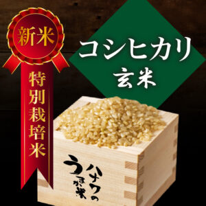 【特別栽培米】コシヒカリ／玄米