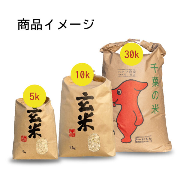 令和6年産 マンゲツモチ 玄米 - 画像 (2)