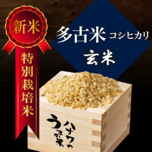 【特別栽培米】多古米コシヒカリ／玄米