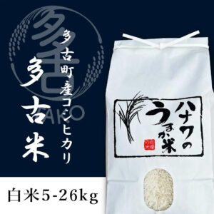 令和7年産 多古米コシヒカリ 精米