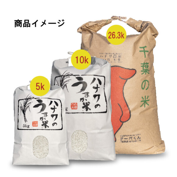 令和6年産 マンゲツモチ 精米 - 画像 (2)
