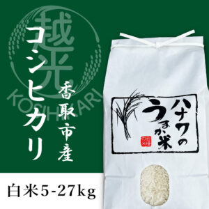 令和6年産 コシヒカリ 精米