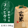 令和6年産 コシヒカリ 玄米