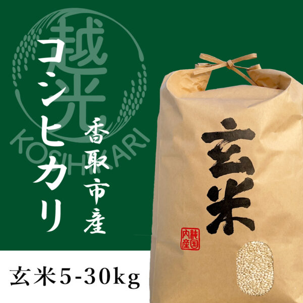令和6年産 コシヒカリ 玄米