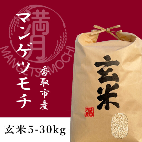 令和6年産 マンゲツモチ 玄米